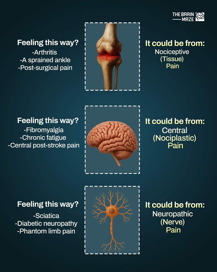 Diagram showing types of pain related to the human body: nociceptive, central, and neuropathic pain sources.