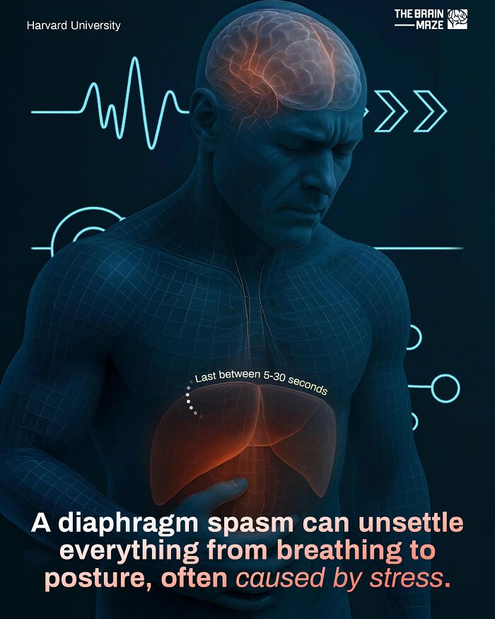 Visualization of diaphragm spasm effects on breathing and posture, highlighting key human body health facts and stress impact.