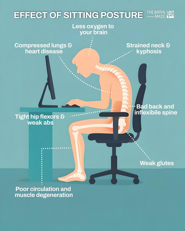 Diagram showing effects of poor sitting posture on the human body including brain, spine, lungs, muscles, and circulation.