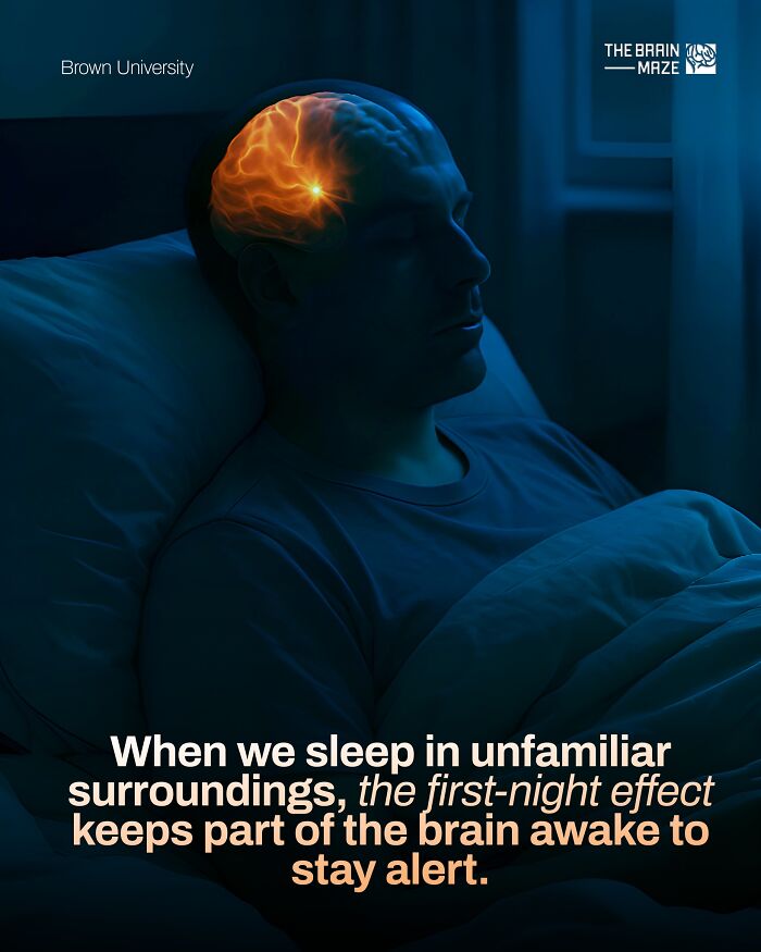 Man sleeping with brain activity highlighted, illustrating incredible facts about the human body and sleep-related brain functions.