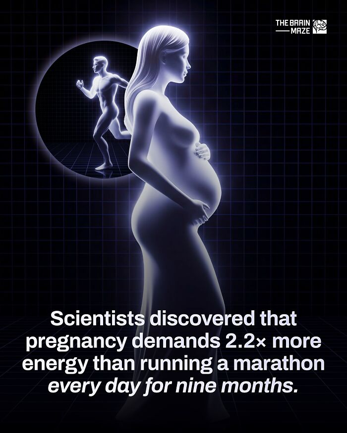 Pregnant woman holding belly in glowing illustration showing energy demands of pregnancy versus running a marathon.