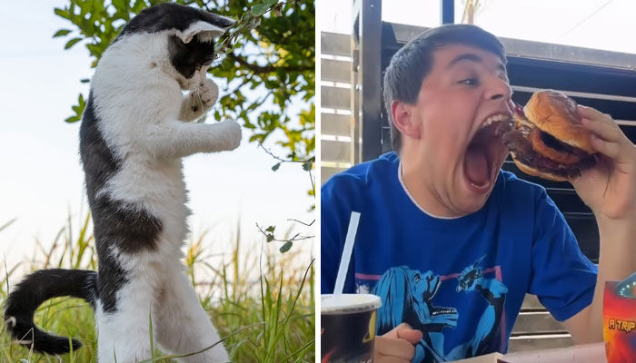 If You’re Curious About The World, Here Are 80 Facts And Photos From “Spill Now”