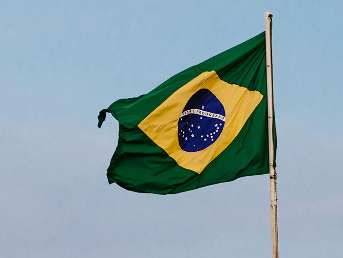 41 Intriguing “Today I Learned” Facts That Show How Little We Actually Know (New Facts)