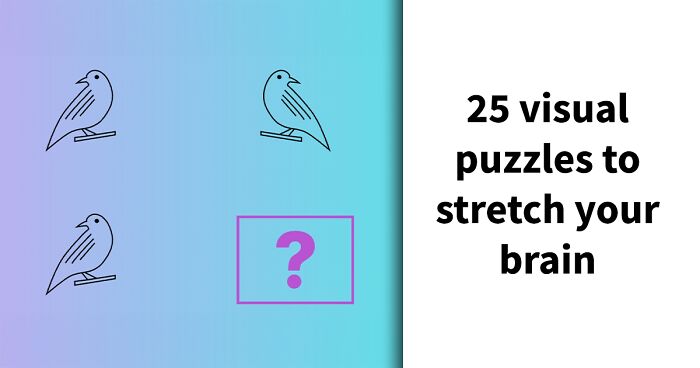 If You Can Solve These 25 Mind-Bending IQ Puzzles, We’re Sure Your Logic Is Top-Tier