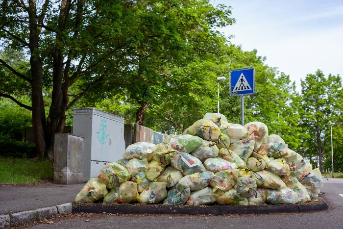 Large pile of tied garbage bags on a street corner under green trees showing typical garbage men job hazards.
