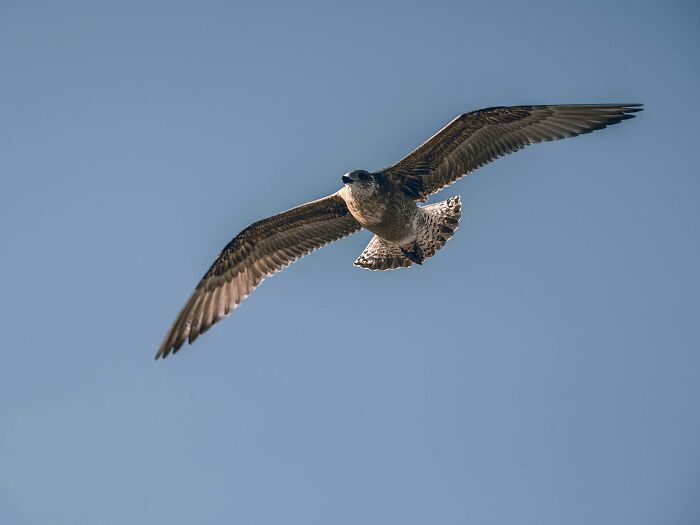 45 Fun Word Origins You Might Want To Drop Into Every Conversation