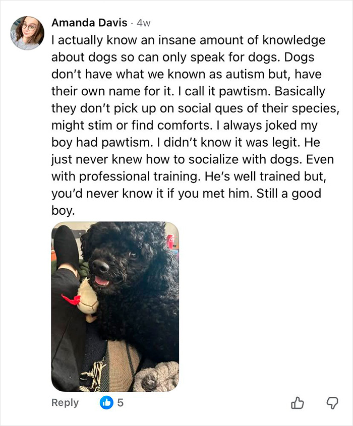 Comment explaining dog behavior linked to autism-like traits in dogs, discussing the concept of pawtism with a photo of a black poodle.