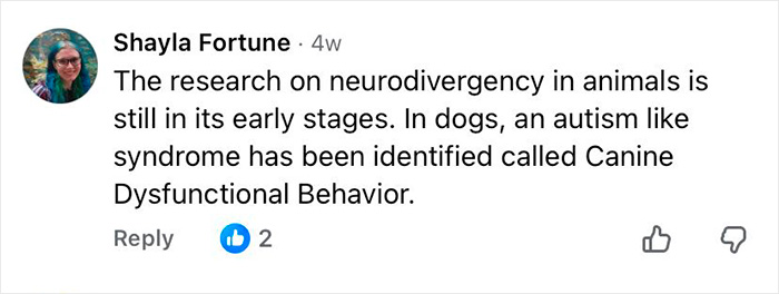 Comment discussing early research on autism-like syndrome in dogs called Canine Dysfunctional Behavior.
