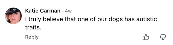 Comment from Katie Carman stating her belief that one of their dogs has autistic traits related to dogs and autism research.