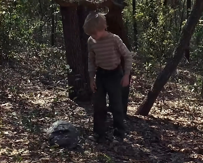 Young boy outdoors in a wooded area, related to the infamous tragic scene from My Girl and its filming truth exposed. Young boy outdoors in a wooded area, related to the infamous tragic scene from My Girl and its filming truth exposed.
