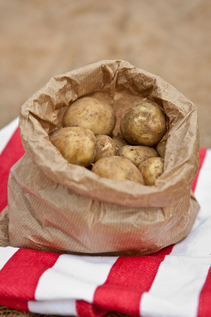 Brown paper bag filled with fresh potatoes placed on red and white striped cloth, examples of Karens so crazy.
