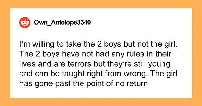 “AITA For Telling My Wife We Can Adopt Her Nephews But Not Her Niece?”: Family Chaos Erupts Over Troubled Kids