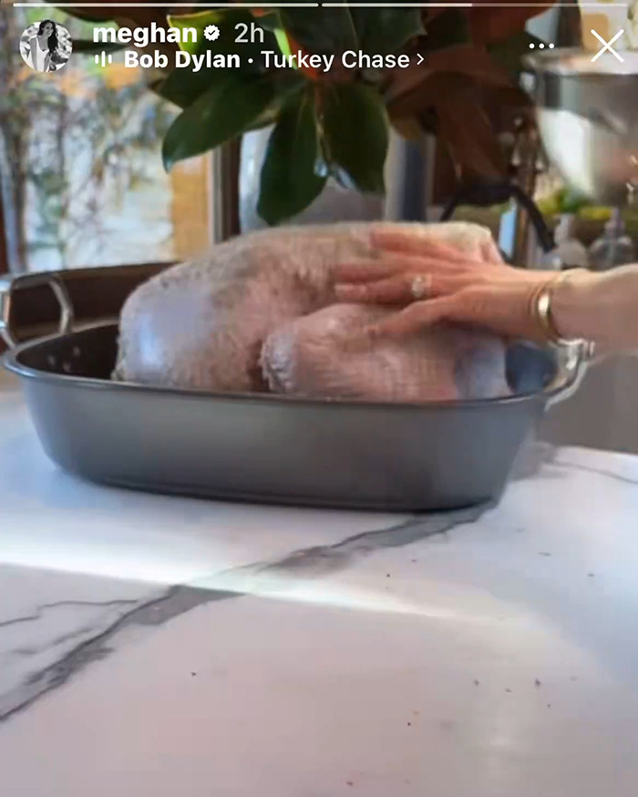 Raw Thanksgiving turkey in a roasting pan with a hand touching the bird, related to Meghan Markle turkey faux pas.