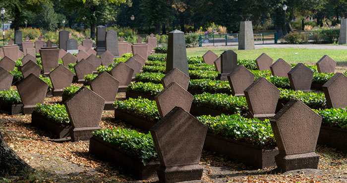Rows of old gravestones in a cemetery surrounded by greenery representing a mildly disturbing fact about death and memory.