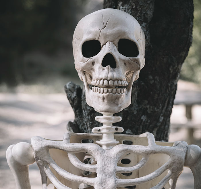 46 People Share Mildly Disturbing Facts You May Have Never Heard Before