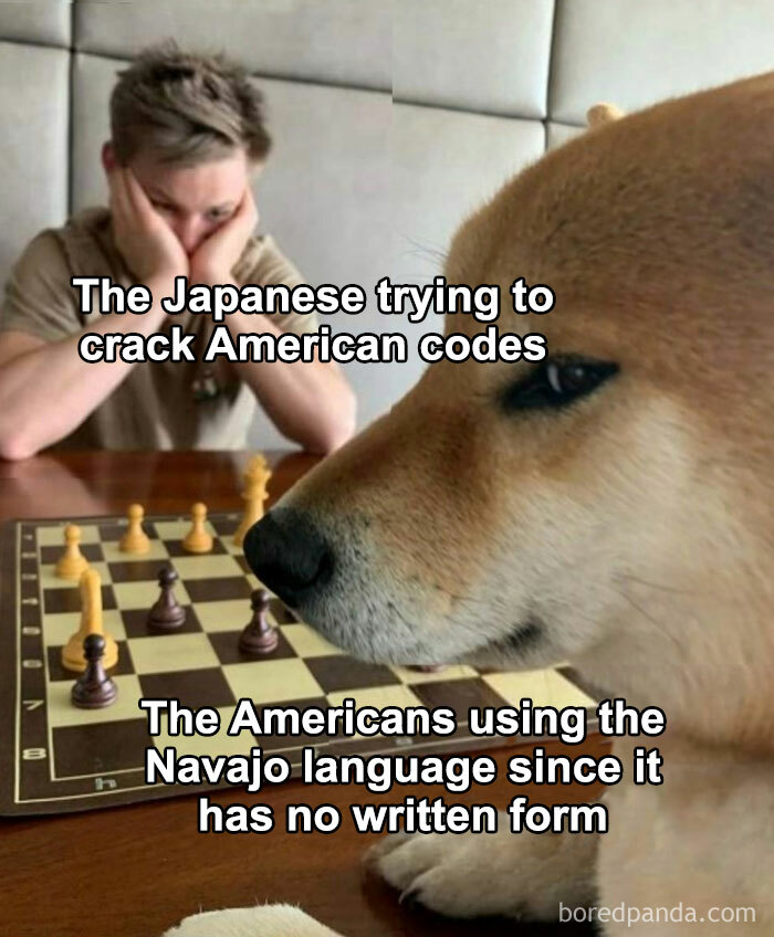 Person frustrated over chessboard with dog focused, illustrating history memes about cracking American codes and Navajo language.