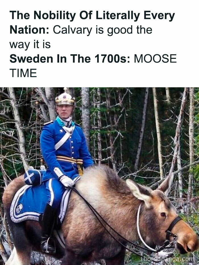 Man in 1700s Swedish military uniform riding a moose in a forest, humorous history meme illustration.