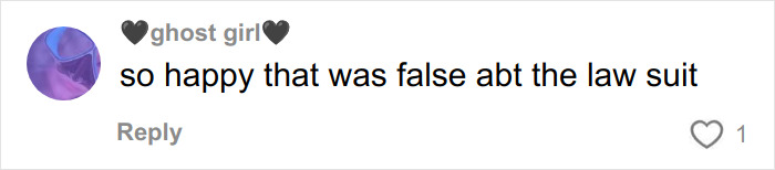 Comment on social media praising the falsehood of rumors related to Millie Bobby Brown and David Harbour bullying on Stranger Things set.