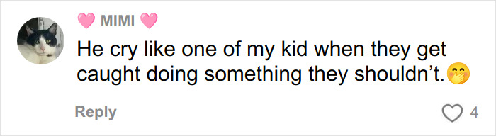 Comment on social media from user Mimi reacting to a situation involving Miss Mexico at Miss Universe controversy.