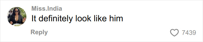 Comment saying it definitely looks like him, posted by Miss. India with 7,439 likes on a social media platform.