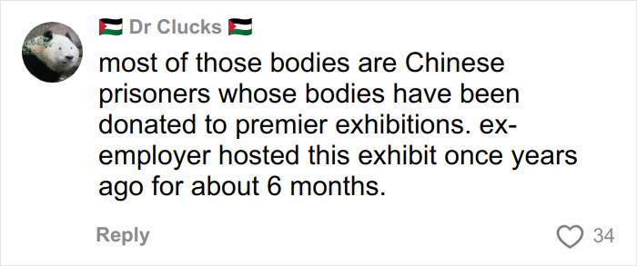 Comment discussing Chinese prisoners' bodies donated to exhibitions, related to son's skinned body in Las Vegas museum.