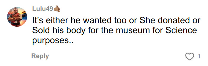 Comment discussing theories about a mom claiming she discovered her son's skinned body displayed in Las Vegas museum.