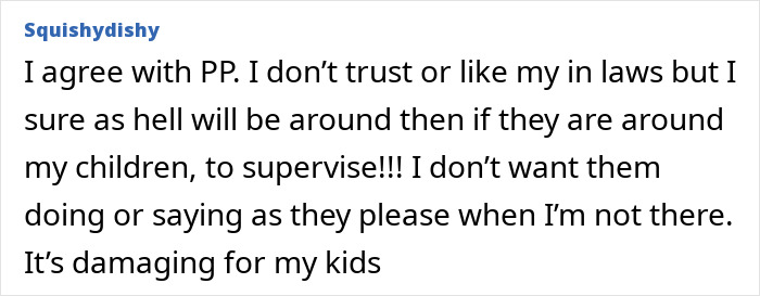 Comment expressing distrust of in-laws and concerns about their negative influence on children when unsupervised at home.