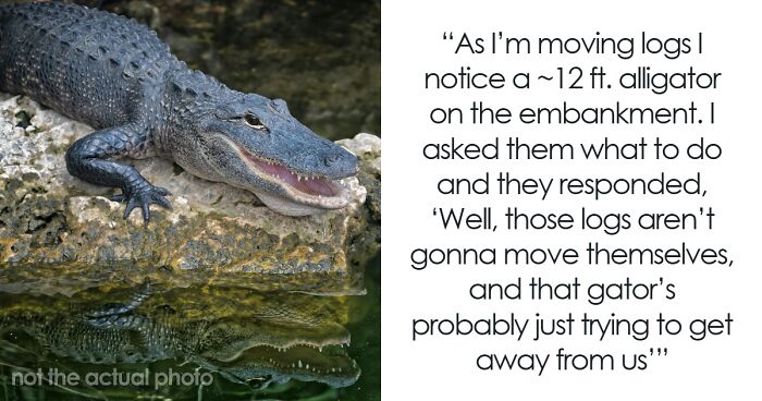 50 Times Wildlife Reminded Humans They’re Not Nearly As Tough As They Think