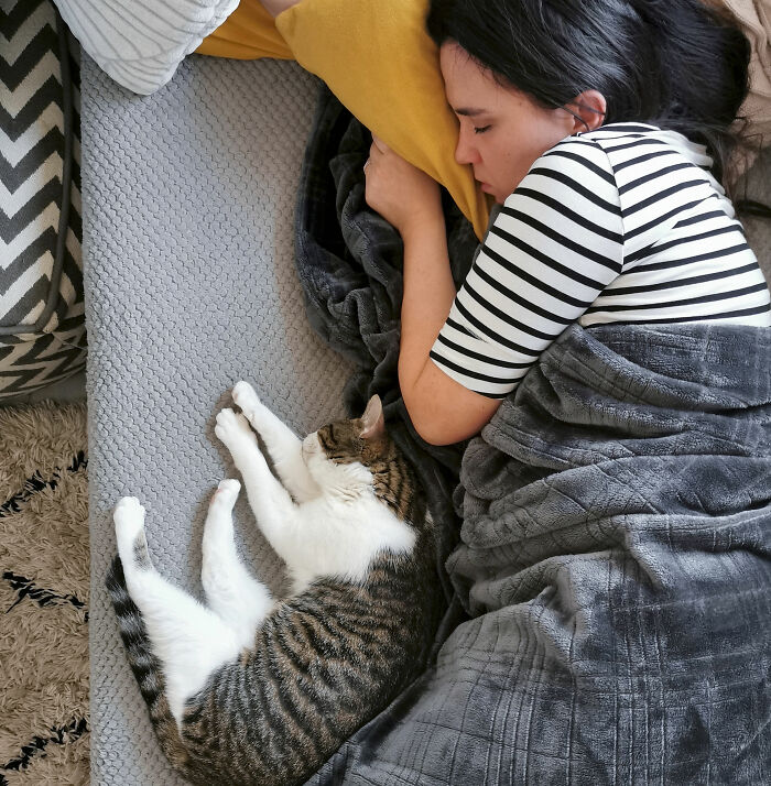 Woman and tabby cat sleeping side by side on bed, illustrating funny feuds experienced by people with multiple pets.