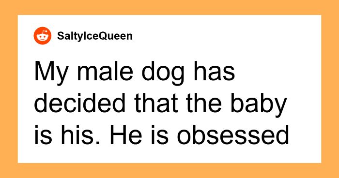 47 Pet Owners Share The Biggest Beef Their Animals Have Going On Right Now