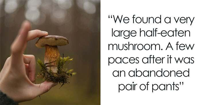 “Subject Deceased”: 35 National Park Employees And Rescue Officers Share Their Scary Job Stories