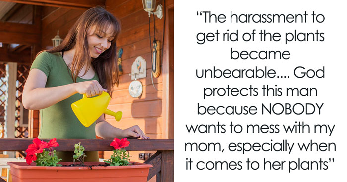 Guy Whines About Neighbor’s Plant Wall, She Cuts It Down And Gives Him A View Of Pure Concrete