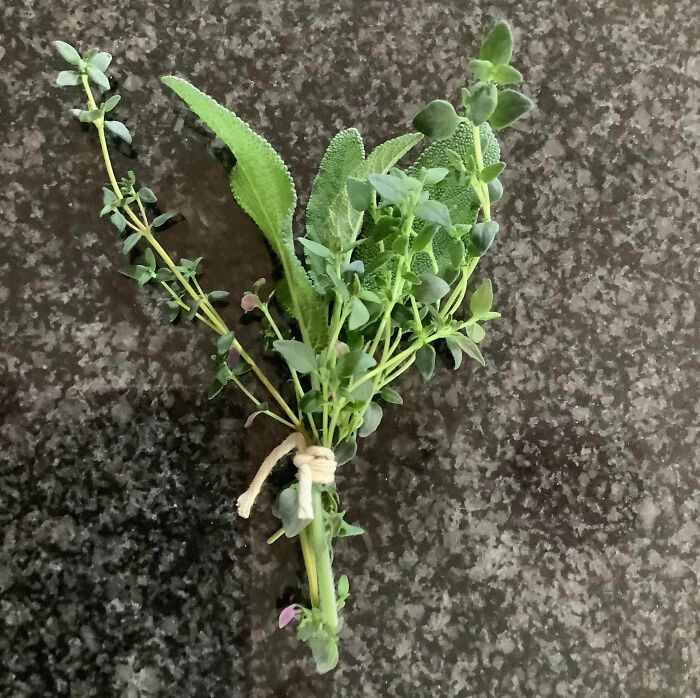 Fresh herbs tied in a bundle on a kitchen countertop illustrating kitchen tips and tricks to upgrade cooking skills