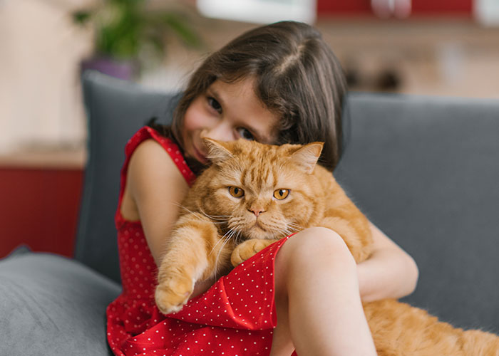 Young girl in a red dress hugging a large orange cat, showcasing the bond with one of the most intelligent pets people have.