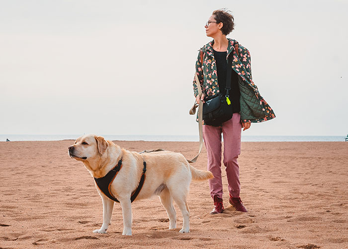 46 Pet Owners Who Suddenly Realized Their Pet Was Actually Quite Intelligent