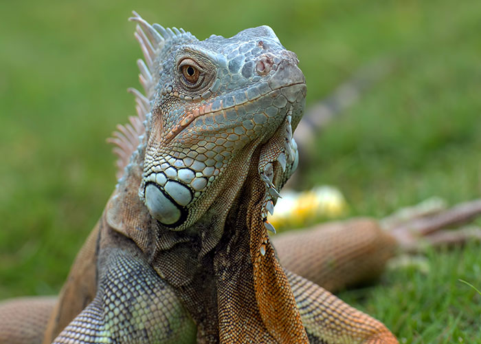 46 Pet Owners Who Suddenly Realized Their Pet Was Actually Quite Intelligent