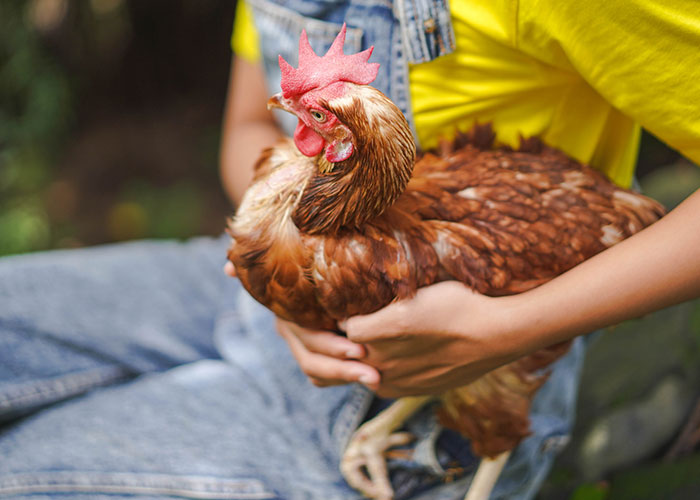 46 Pet Owners Who Suddenly Realized Their Pet Was Actually Quite Intelligent