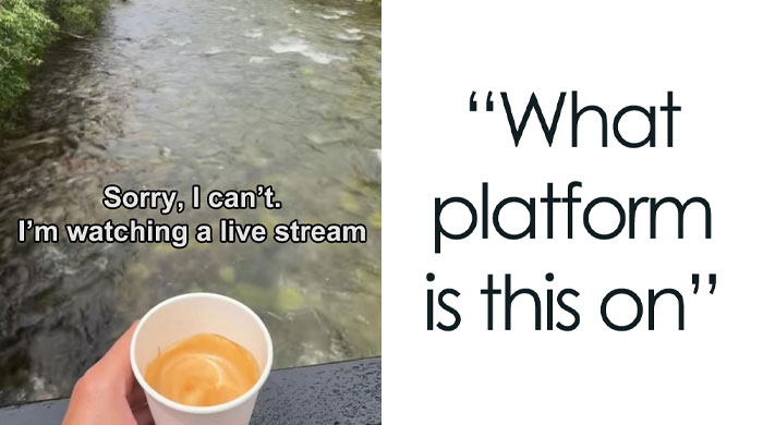 50 Incidents Where People Did Precisely What They Were Told, And The Results Were Hilarious (New Pics)