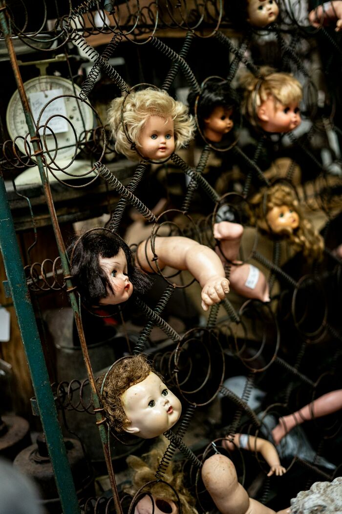 Creepy dismembered doll heads and limbs tangled in rusty springs, a bizarre scene witnessed by park rangers and hikers.