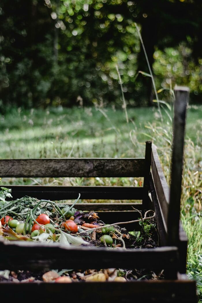 A wooden crate outdoors filled with decomposing vegetables and plant scraps, highlighting garbage men findings.
