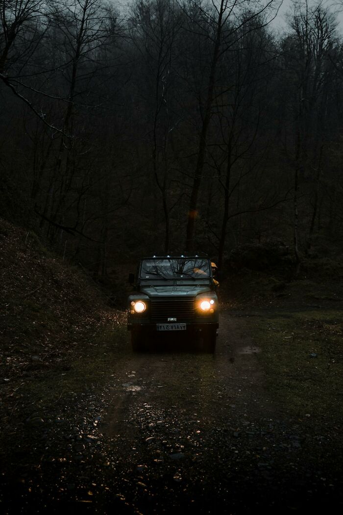Dark forest road with headlights on a vehicle, evoking creepy and bizarre experiences witnessed by park rangers and hikers.