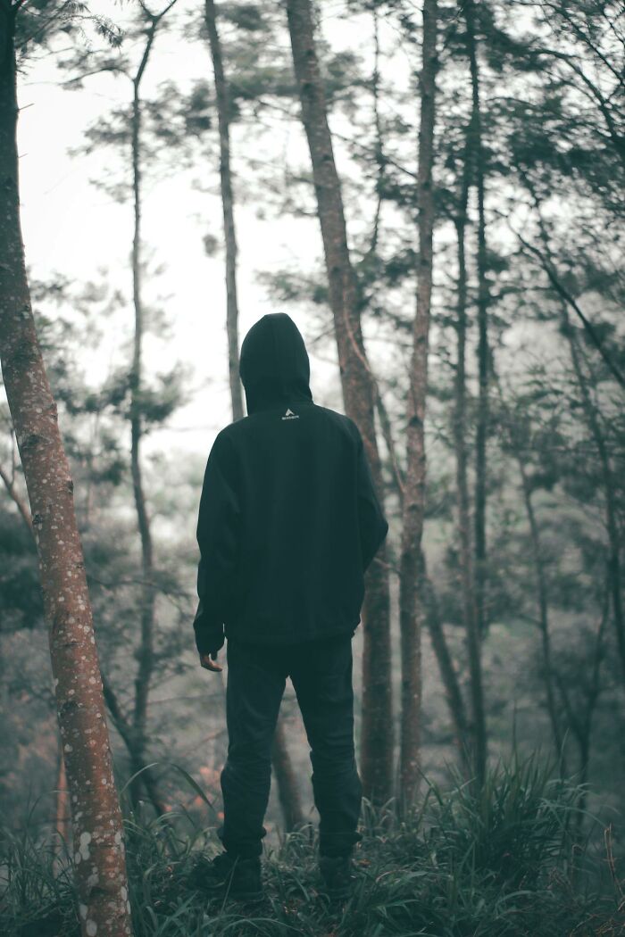 Person in a black hoodie standing alone in a foggy forest, evoking eerie and creepy vibes witnessed by park rangers and hikers