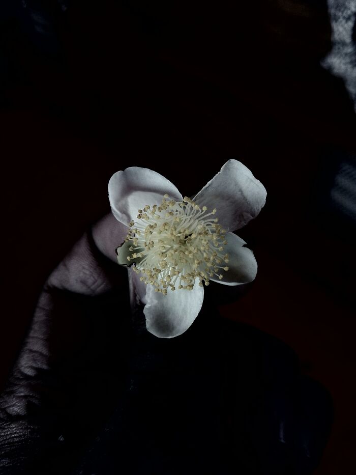 My 20 Black And White Photographs To Explore Independent Photography