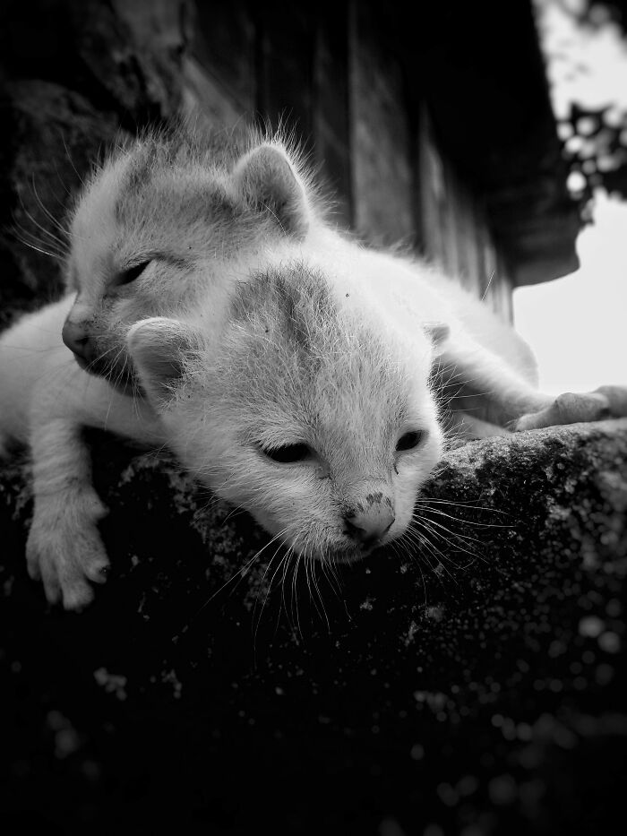 My 20 Black And White Photographs To Explore Independent Photography