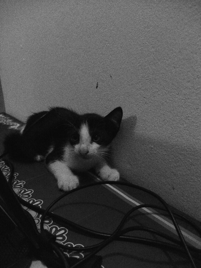 My 20 Black And White Photographs To Explore Independent Photography