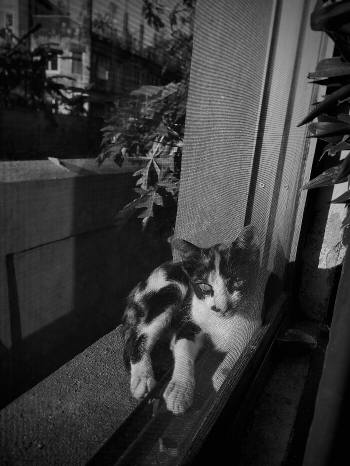 My 20 Black And White Photographs To Explore Independent Photography