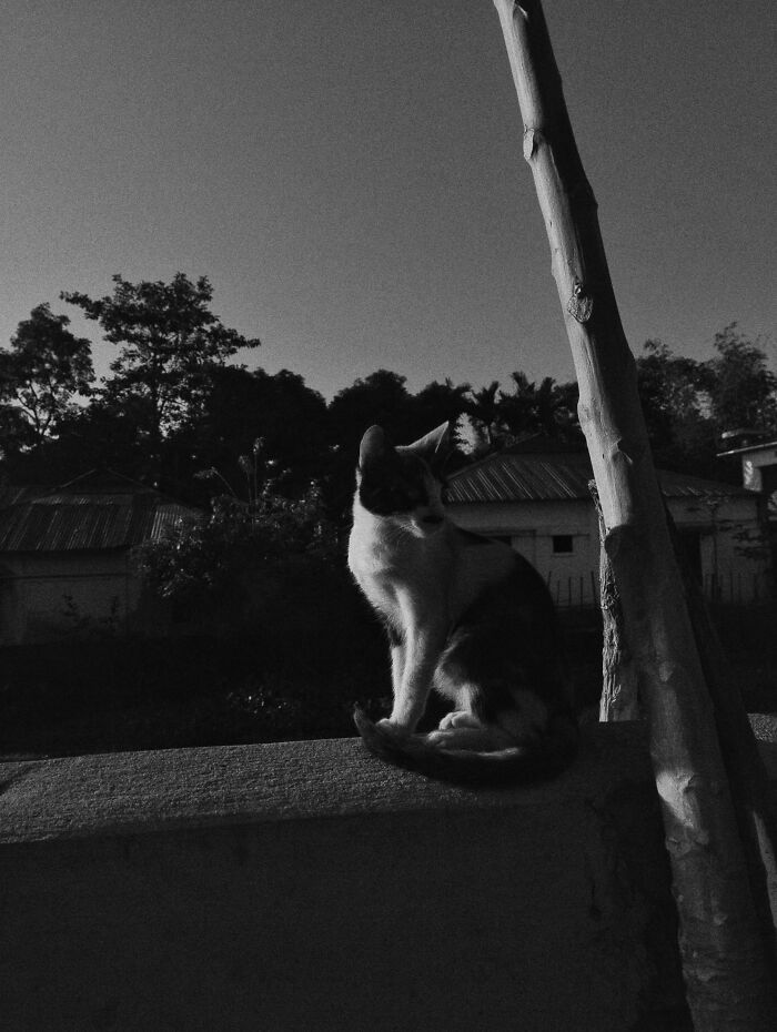 My 20 Black And White Photographs To Explore Independent Photography