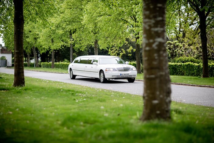 White limousine driving down a tree-lined street on a bright day, capturing a moment of childhood habits and memories.