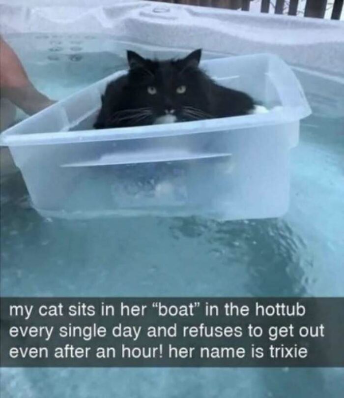 Black and white cat sitting in a plastic container floating in a hot tub, enjoying a relaxing moment with playful cat memes.