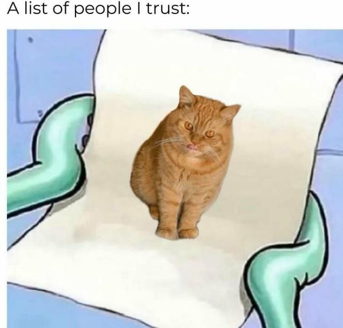 Cartoon hands holding a list with a cat image, highlighting cat memes as a fun way to spend your day.